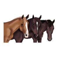 Custom 3 horses